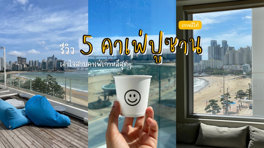 รวมพิกัดคาเฟ่น่านั่งในปูซาน เอาใจสาย Café&nbsp;Hopping